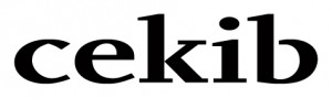 cekib - Centrum für Kommunikation–Information–Bildung